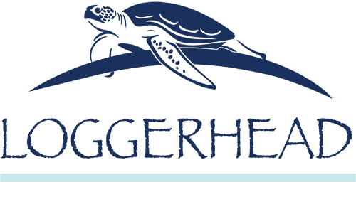Loggerhead Community by Medalist Building Group